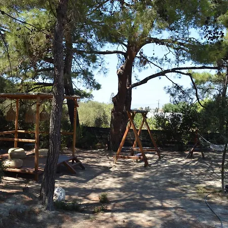 Hotel Cook's Club Rhodes 4*