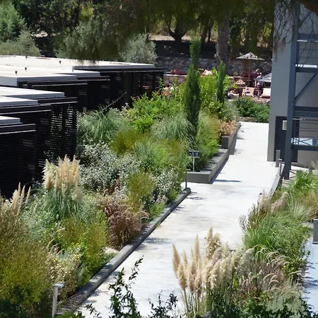 Cook's Club Rhodes Hotel