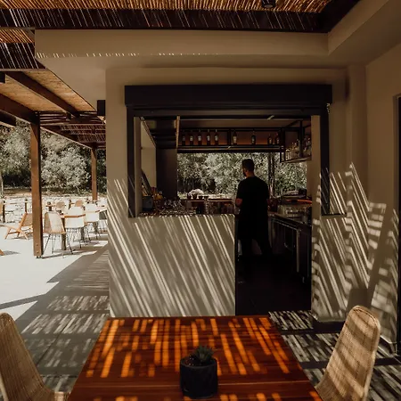 Cook's Club Rhodes Hotel Ialysos (Rhodes)