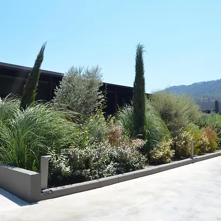 Cook's Club Rhodes 4* Ialysos (Rhodes)