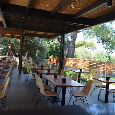 Hotell Cook's Club Rhodes Ialysos (Rhodes)